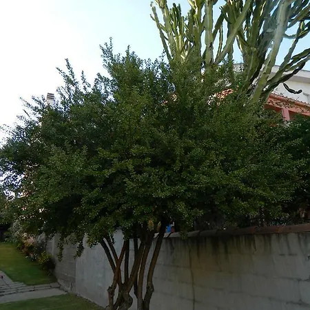Apartamento Margherita *