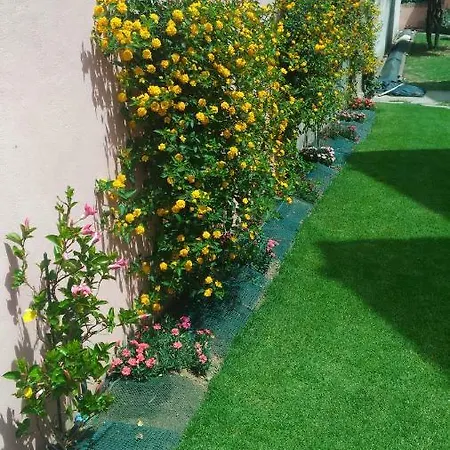 Apartamento Margherita