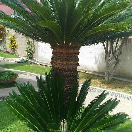 Margherita Apartamento Pula